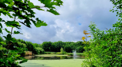 Stadionteich in Bad Belzig