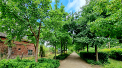 Wege aus Bad Belzig hinaus, Terrainkurweg 01