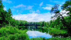 Ausblick auf den Stadionteich