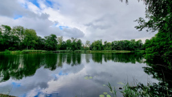 220707_Bad Belzig im Regen-005