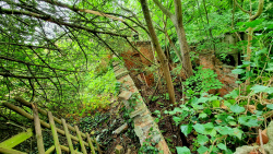 Lost Place Fund in der Bahnhofstrasse