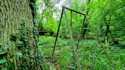 Eine Schaukel zwischen den kleinen Häuschen