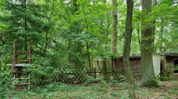 Eine kleine Siedlung an einem Teich im Wald