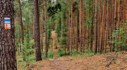 Die vermeidliche Abkürzung