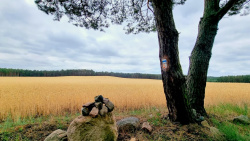 Steinhaufen am Wegesrand