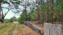 Bahnsteige vergangener Zeit