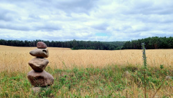 Blick über die weiten Felder des Hohen Flämings