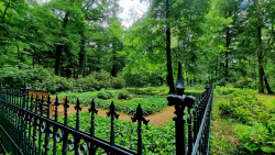 Erbgebegräbnis am Stern