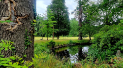 Ausblicke im Wiesenburg Park