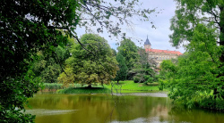 Blick über den Teich auf die Wiesenburg