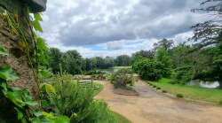 Von der Burg auf den Teich