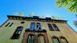 Bäume auf dem Dach der Gebäude