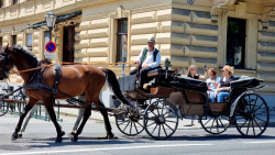 Pferdekutschen in der Altstadt