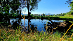 Moor in der Nähe von Schloss Frohnburg
