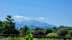 Ausblick auf die Alpen