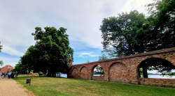 Stadtmauer und Wichmann-Linde am Ufer des Ruppiner Sees