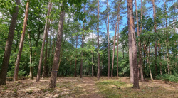 Auf dem Weg zum Beetzer See