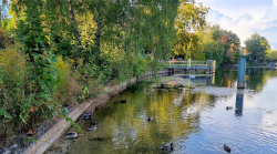 Niedrigwasser der Havel