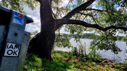 Das Statement dieser Wanderung