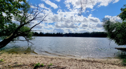 Sandstrand in der Nähe der Insel Scharfenberg
