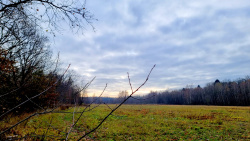 221111_Von Hennigsdorf nach Falkensee durch den Spandauer Forst-001 (1)