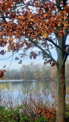 221111_Von Hennigsdorf nach Falkensee durch den Spandauer Forst-001 (11)