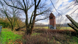 221111_Von Hennigsdorf nach Falkensee durch den Spandauer Forst-001 (14)