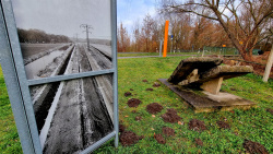 221111_Von Hennigsdorf nach Falkensee durch den Spandauer Forst-001 (16)