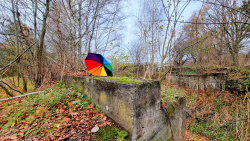 221111_Von Hennigsdorf nach Falkensee durch den Spandauer Forst-001 (2)