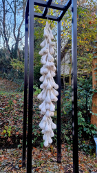 221119_Schönfließ-HohenNeuendorf-001 (24)