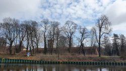 Die Havel an der Zitadelle