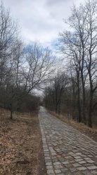 Weg auf den Hahneberg