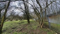 Zaun ehemalige Grenze