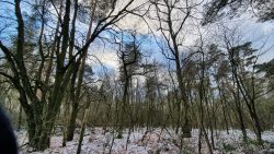 Werneuchen Jakobsweg Bernau