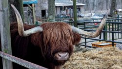 Werneuchen Jakobsweg Bernau